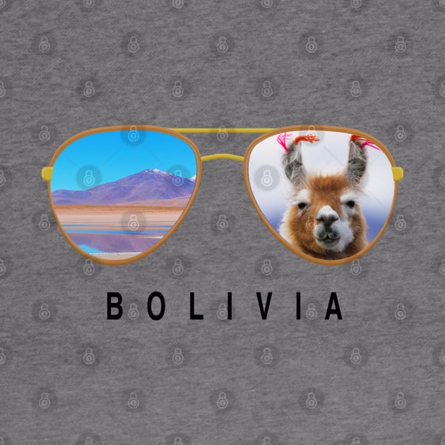 Bolivia sunglasses by JayD World